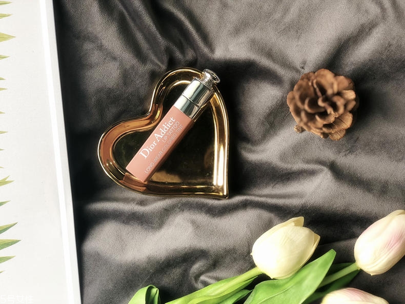 迪奧超模唇釉421是什么色 迪奧超模唇釉熱賣色評測 迪奧超模唇釉421是什么色 迪奧超模唇釉熱賣色評測