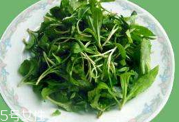 馬蘭頭對人的好處？馬蘭頭有什么好處？