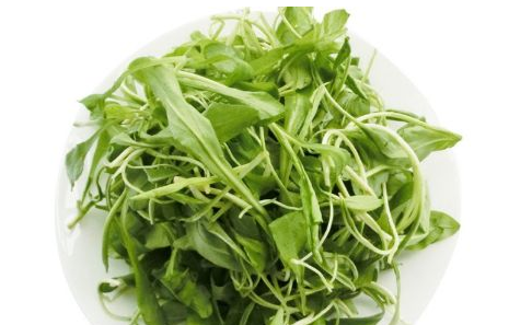 馬蘭頭是馬齒莧嗎？馬蘭頭和馬齒莧的區(qū)別