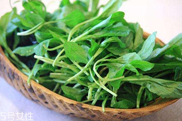 馬蘭頭的營養(yǎng)價值 馬蘭頭有什么營養(yǎng)？