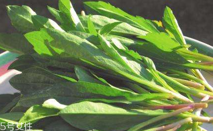 馬蘭頭怎么清洗？怎么洗馬蘭頭？