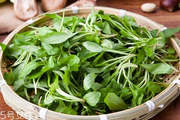 馬蘭頭可以煮魚湯嗎？馬蘭頭怎么煮魚湯