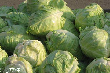 牛心菜是卷心菜嗎？牛心菜和卷心菜的區(qū)別