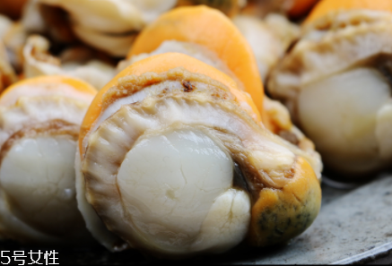 扇貝肉要煮多長時(shí)間？扇貝肉要煮幾分鐘？