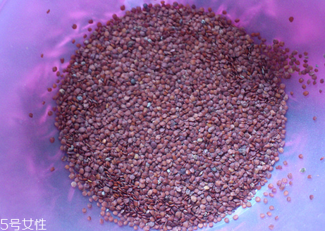 海藻面膜的功效與作用 用海藻面膜有什么好處？