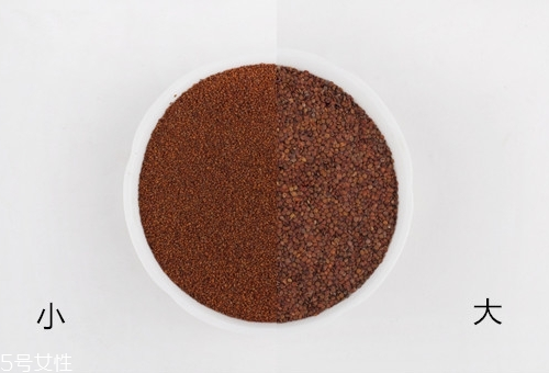 海藻面膜放什么最好？海藻面膜可以放什么？