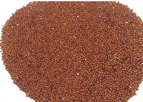 海藻面膜能祛痘印嗎？海藻面膜加什么去痘？