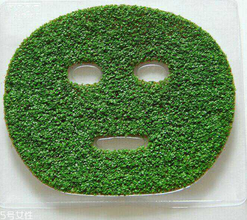 海藻面膜是什么種子？海藻面膜到底是什么？