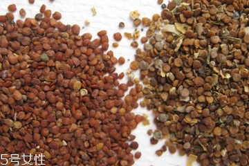 海藻面膜是清潔面膜嗎？海藻屬于清潔性面膜嗎？