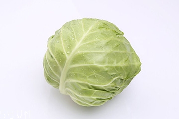 牛心菜是包菜嗎？牛心菜和包菜的區(qū)別