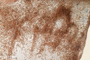 海藻面膜會(huì)發(fā)芽嗎？真的海藻面膜會(huì)發(fā)芽嗎？