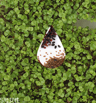 海藻面膜會(huì)過(guò)期嗎？海藻面膜有保質(zhì)期嗎？