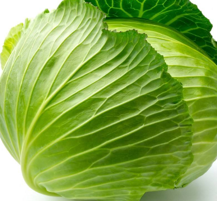 牛心菜能多吃嗎？牛心菜吃多了會怎樣？