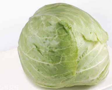 牛心菜能多吃嗎？牛心菜吃多了會怎樣？