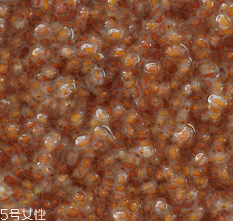 海藻面膜能加蜂蜜嗎？蜂蜜和海藻做面膜好嗎？