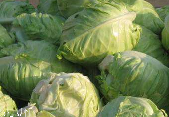 牛心菜的營養(yǎng)成分 牛心菜的營養(yǎng)成分是什么？