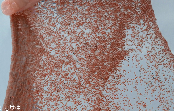 海藻面膜能去黑頭嗎？海藻面膜有去黑頭功效嗎？