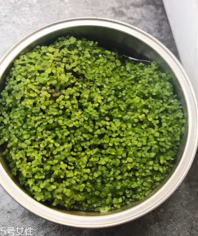 海藻面膜為什么會(huì)出膠？海藻面膜的膠是什么？