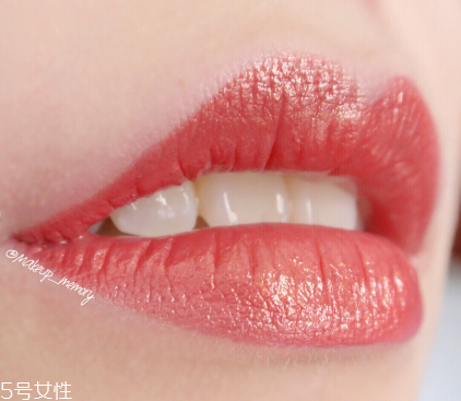 蘭蔻120和290哪個好看 蘭蔻120和290試色 蘭蔻120和290哪個好看 蘭蔻120和290試色