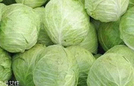 牛心菜是寒性還是熱性？牛心菜是寒性的嗎？