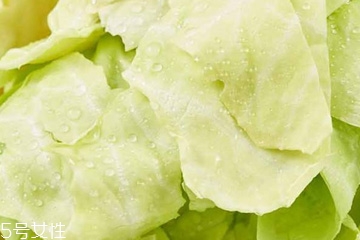 牛心菜是寒性還是熱性？牛心菜是寒性的嗎？