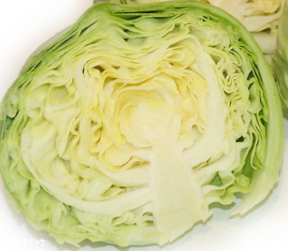 牛心菜是酸性還是堿性？牛心菜是酸性的嗎？