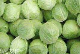 牛心菜和紫甘藍的區(qū)別 牛心菜和紫甘藍怎么分辨？