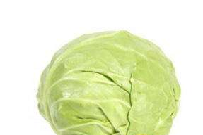 牛心菜怎么種植？牛心菜能種嗎？