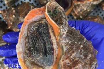 海螺開水還是冷水下鍋？海螺冷水還是熱水煮？