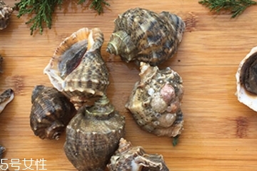 海螺會中毒嗎？吃海螺中毒多久會緩解？