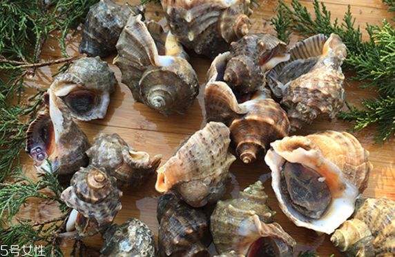 海螺會中毒嗎？吃海螺中毒多久會緩解？