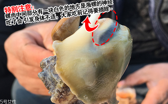 海螺會中毒嗎？吃海螺中毒多久會緩解？