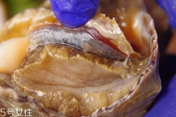 海螺可以隔夜吃嗎？海螺煮熟隔夜能吃嗎？