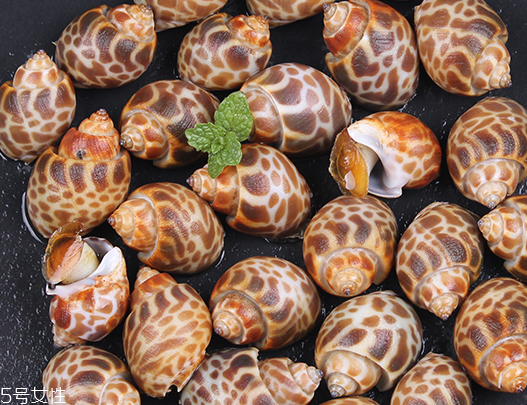 海螺可以隔夜吃嗎？海螺煮熟隔夜能吃嗎？