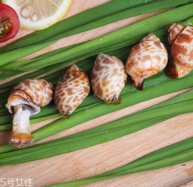 海螺能和西瓜一起吃嗎？海螺和西瓜能同食嗎？