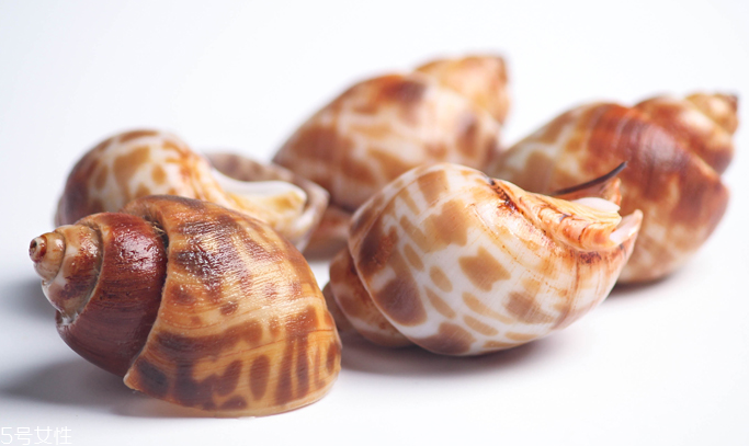 海螺能和西瓜一起吃嗎？海螺和西瓜能同食嗎？