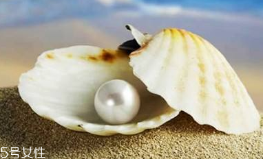 珍珠粉面膜能能去皺嗎？珍珠粉面膜加什么能去皺？