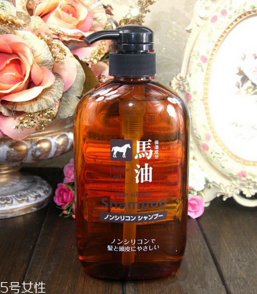 馬油洗發(fā)水是無硅油嗎？馬油洗發(fā)水是無硅油洗發(fā)水嗎？