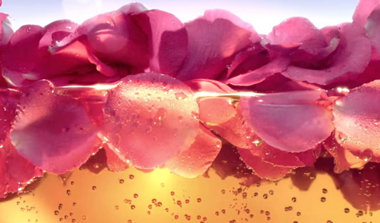 玫瑰水怎么做？自制玫瑰水