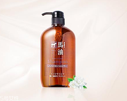 馬油洗發(fā)水是哪里產(chǎn)的？馬油洗發(fā)水是哪國的？