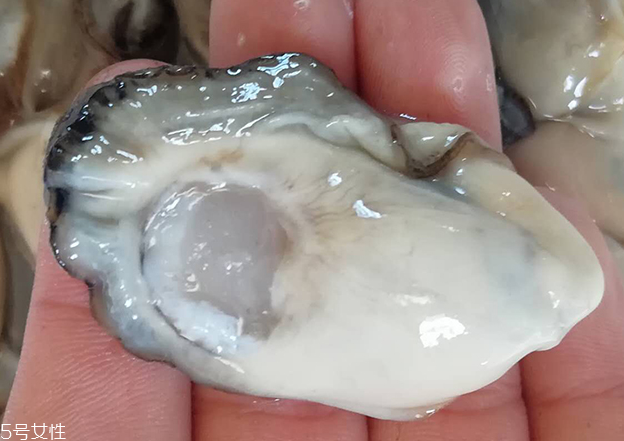 生蠔肉怎么做好吃？生蠔肉做法推薦