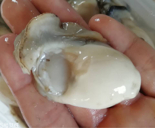 生蠔肉都能吃嗎？生蠔肉有不能吃的地方嗎？