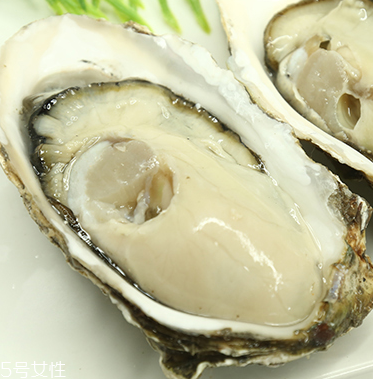 生蠔是蒸還是煮？生蠔蒸好吃還是煮好吃？