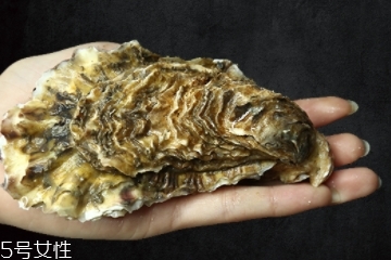 生蠔有內(nèi)臟嗎？生蠔的內(nèi)臟能吃嗎？