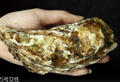 生蠔有內(nèi)臟嗎？生蠔的內(nèi)臟能吃嗎？