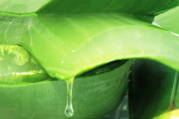 蘆薈水哪個牌子好？蘆薈爽膚水品牌推薦