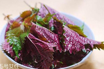 紫蘇葉和蘇子葉的關系 紫蘇葉與蘇子葉是一樣的嗎？