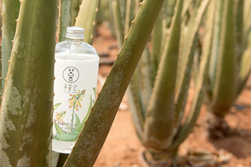 尋薈記蘆薈水怎么樣？尋薈記蘆薈水使用心得