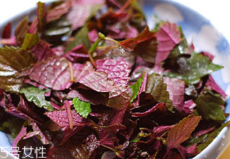 紫蘇葉能治皮膚過(guò)敏嗎？