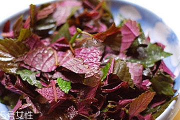 紫蘇葉是熱性的嗎？紫蘇葉是寒性的嗎？